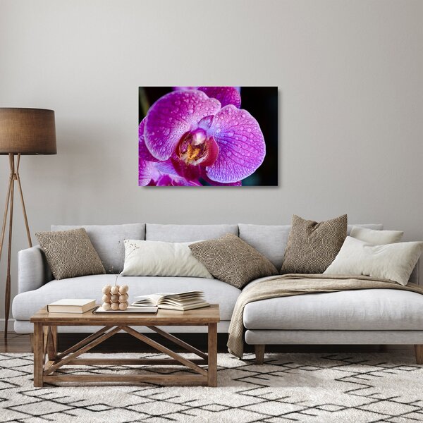 Detailný sklenený obraz kvetu orchidey (70x50 cm)
