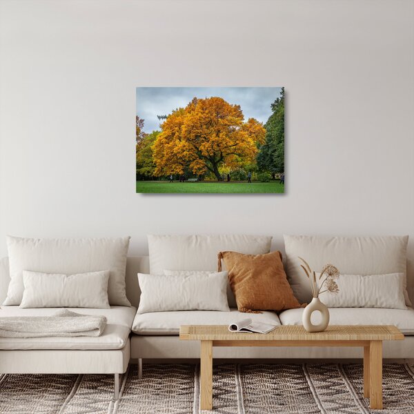 Sklenený obraz stromu (70x50 cm)