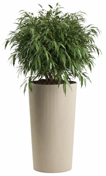 PLASTOVÝ KVETINÁČ URBANIKA ECO 57X29,5 CM LATTE