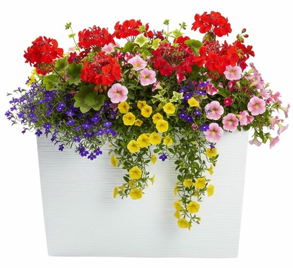 PLASTOVÝ KVETINÁČ BLOOM RIFLO 36X56X20 CM BIELA