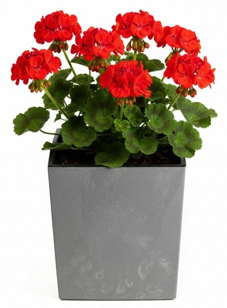 PLASTOVÝ KVETINÁČ FLORE 30,5X29,5X29,5 CM IMITÁCIA BETÓNU SIVÁ