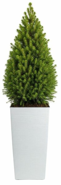PLASTOVÝ KVETINÁČ PORTO RIFLO 75X39,5X39,5 CM BIELA