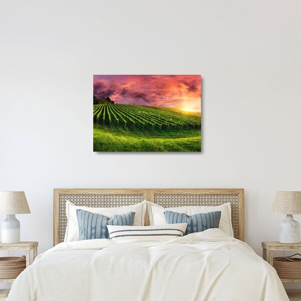 Sklenený obraz vinice s farebným nebom (70x50 cm)