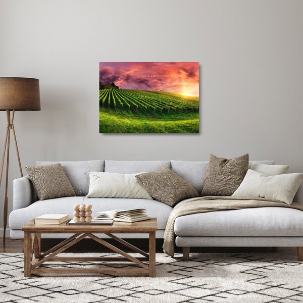 Sklenený obraz vinice s farebným nebom (70x50 cm)