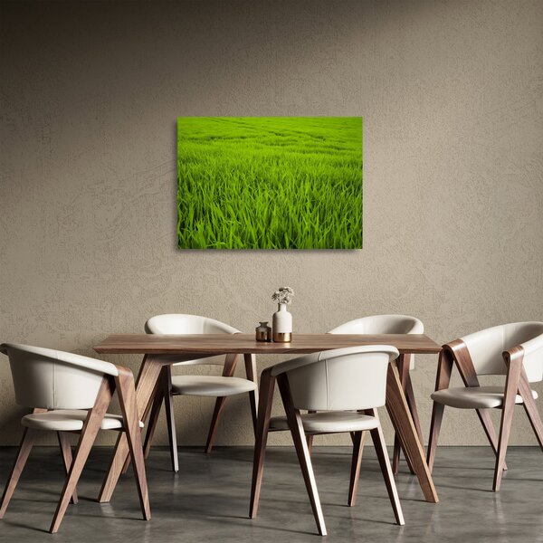 Sklenený obraz trávy (70x50 cm)