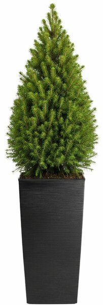 PLASTOVÝ KVETINÁČ PORTO RIFLO 75X39,5X39,5 CM ČIERNA