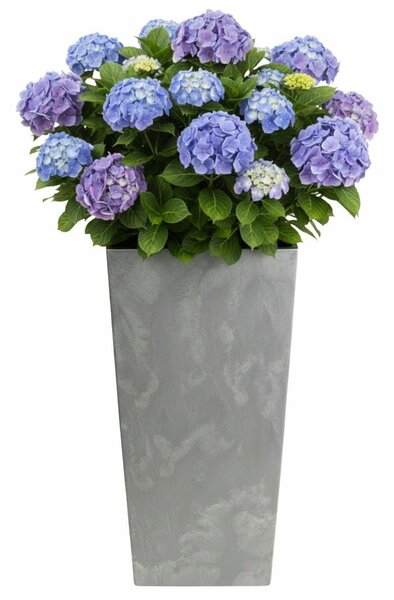 PLASTOVÝ KVETINÁČ PORTO 75X39,5X39,5 CM IMITÁCIA BETÓNU SIVÁ