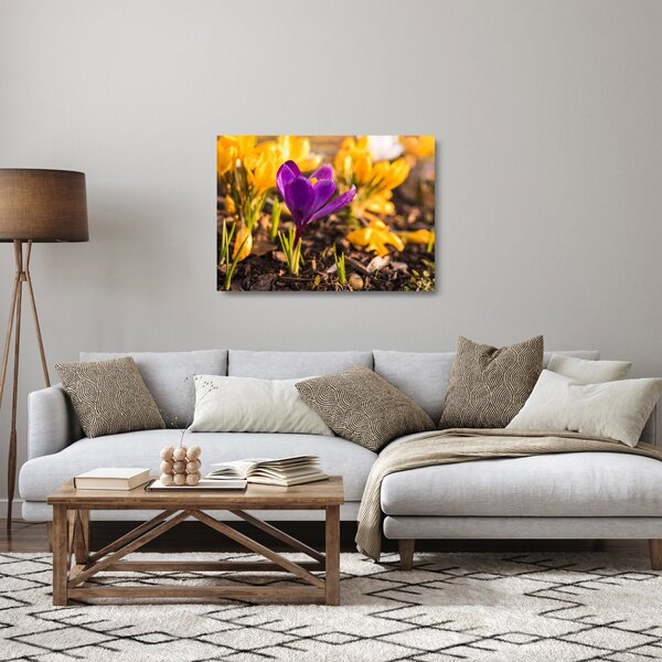 Sklenený obraz fialovej kvetiny (70x50 cm)