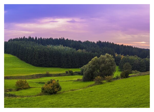 Sklenený obraz lúky (70x50 cm)