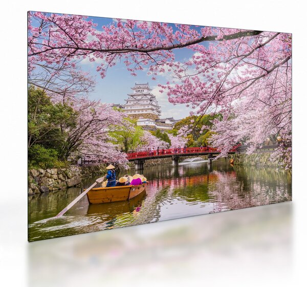 Sklenený obraz japonskej čerešne (70x50 cm)