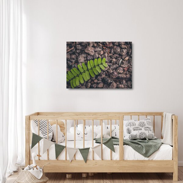 Sklenený obraz zelenej rastliny (70x50 cm)