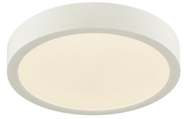 STROPNÉ LED SVIETIDLO, 22,5/3,6 cm Boxxx - Interiérové svietidlá