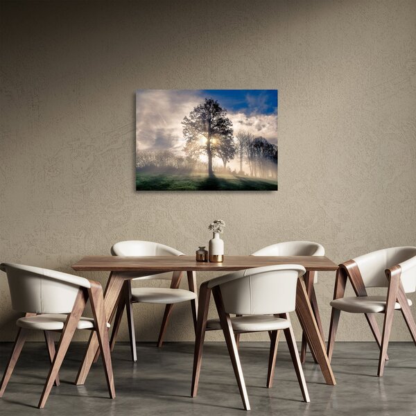 Sklenený obraz stromu v hmle (70x50 cm)