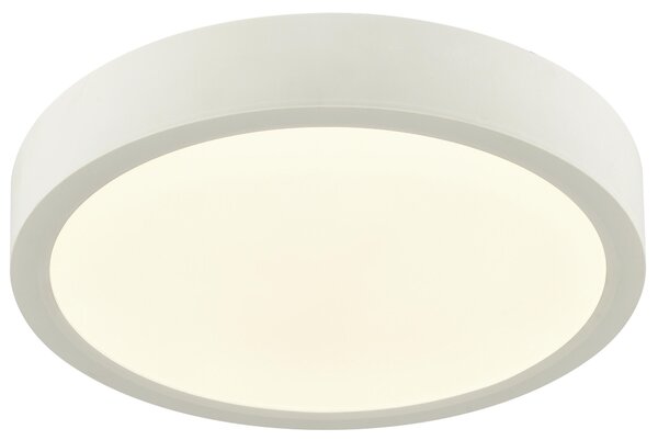 STROPNÉ LED SVIETIDLO, 22,5/3,6 cm Boxxx - Interiérové svietidlá