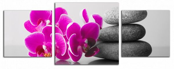 Obraz na plátne Orchidey a zen kamene