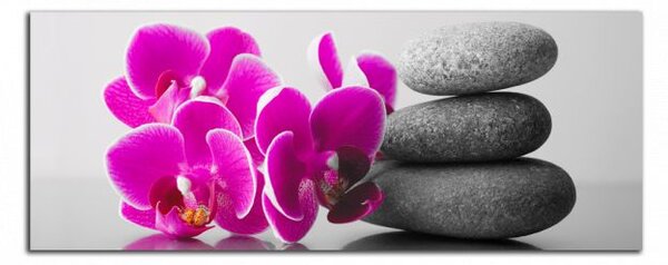 Obraz na plátne Orchidey a zen kamene