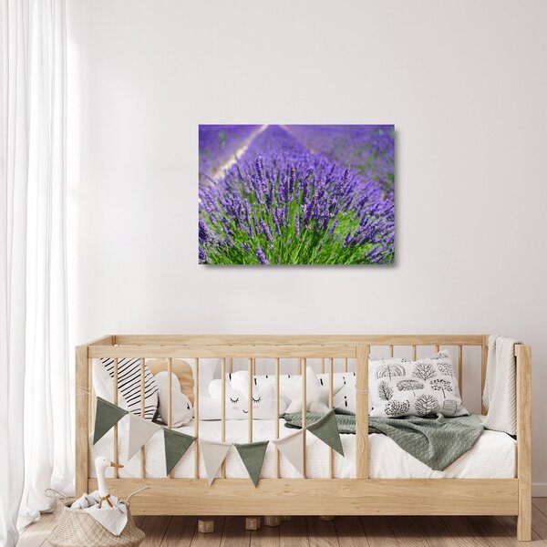 Sklenený obraz - levanduľa (70x50 cm)