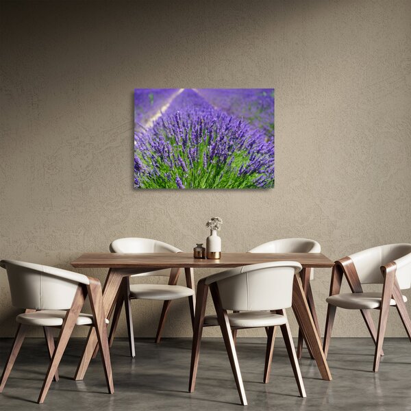 Sklenený obraz - levanduľa (70x50 cm)