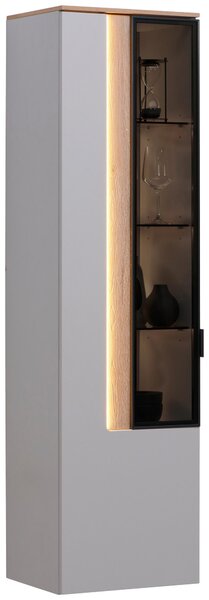 ZÁVESNÁ VITRÍNA, farba duba, svetlosivá, 45,6/164,6/36 cm Dieter Knoll - Sklenené vitríny