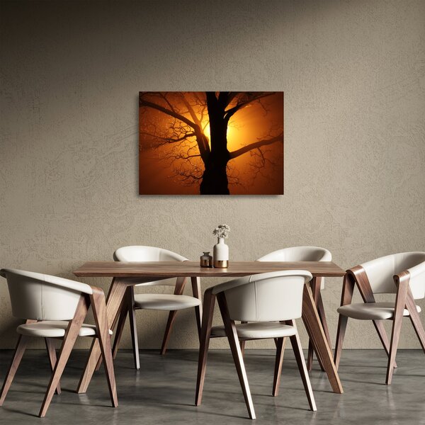 Sklenený obraz stromu pri západe slnka (70x50 cm)