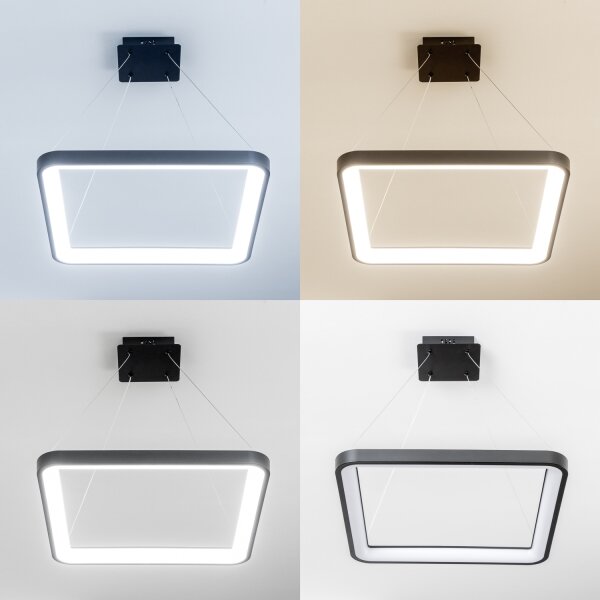 Brilagi - LED stmievateľný luster na lanku FALCON SLIM LED/50W/230V 50x50 cm čierna + diaľkový ovládač