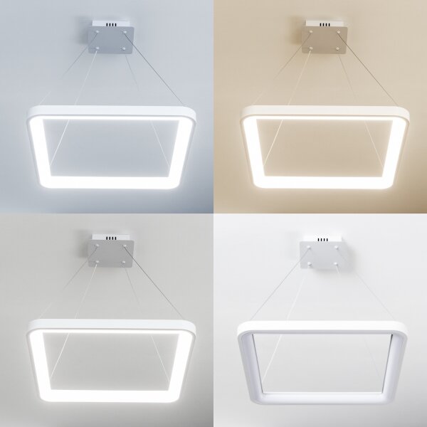 Brilagi - LED stmievateľný luster na lanku FALCON SLIM LED/50W/230V 50x50 cm biela + diaľkové ovládanie