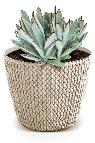 Prosperplast Kvetináč PLOWY ECO biely, variant 15,7 cm