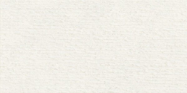 Ozone Snow 30x60 R