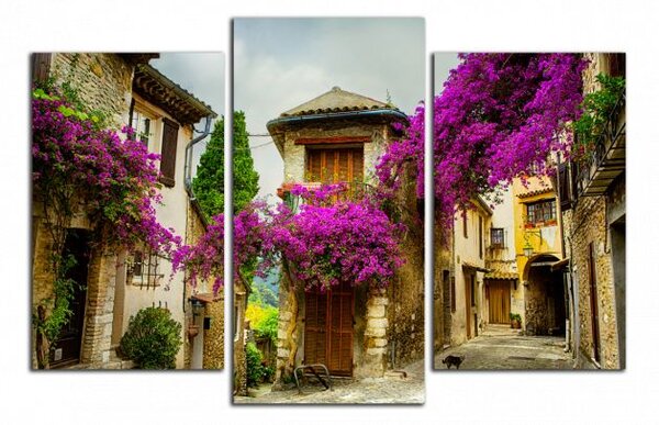 Moderný obraz Provence