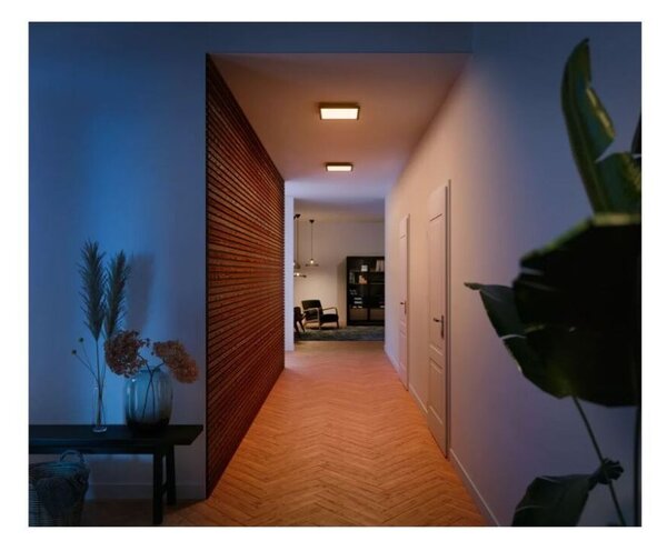 8720169159013 Philips HUE Aurelle stropný panel SQ 300x300mm 19W/1940lm 2200-6500K čierna + Dimmer Switch