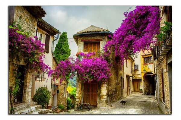 Moderný obraz Provence