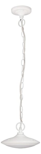Rabalux 8710 - LED Vonkajšie závesné svietidlo OAKLAND 1xLED/6W