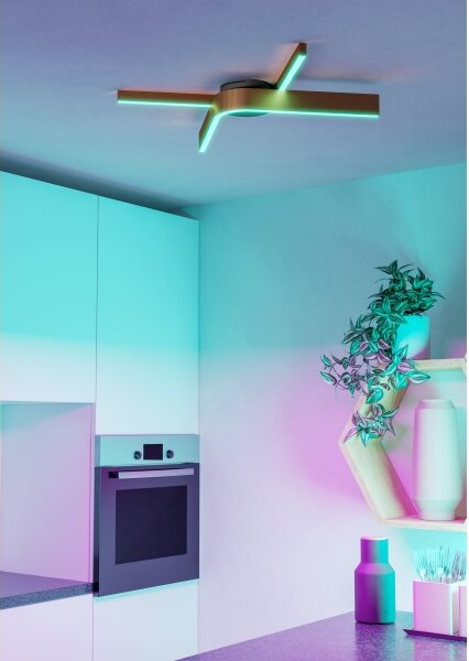 Eglo 901863 - LED RGBW stmievateľné stropné svietidlo FOLCINO-Z 2xLED/18W/230V medená/čierna