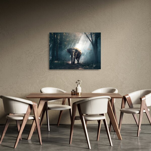 Sklenený obraz slona v džungli (70x50 cm)
