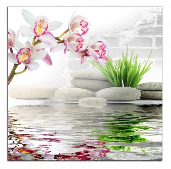 Obraz na stenu Orchidea a kamene
