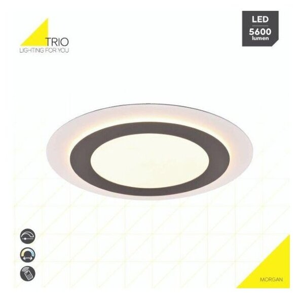 TRIO 641519207 MORGAN stropné svietidlo SMD LED D450mm 42W/5600lm 2700-6500K matný nikel, stmievateľné, diaľkový ovládač