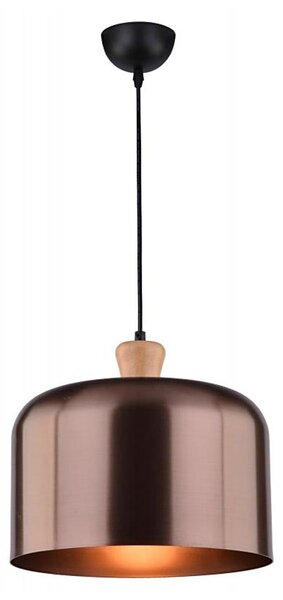 Luster na lanku DICTORIA 1xE27/40W/230V