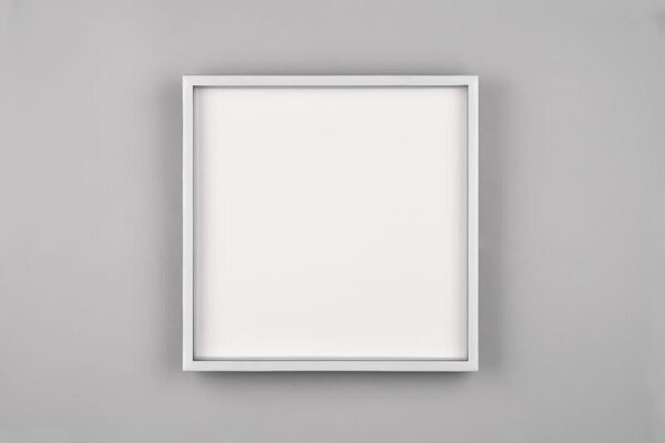 TRIO Reality R64502932 ROTONDA stropné svietidlo SMD LED 350x350mm 20W/2600lm 3000K čierna, biela