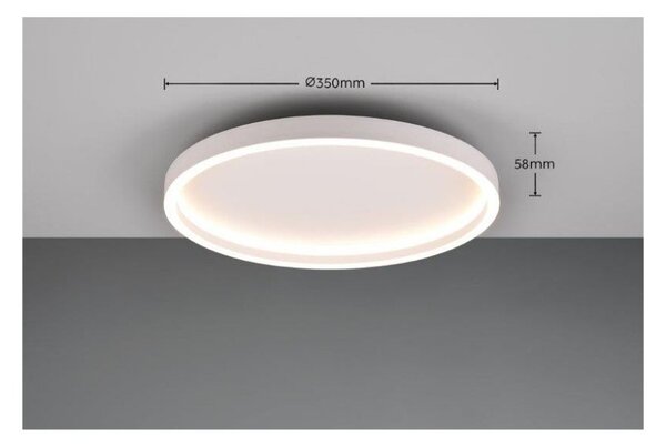 TRIO Reality R64502131 ROTONDA stropné svietidlo SMD LED D350mm 20W/2600lm 3000K biela matná