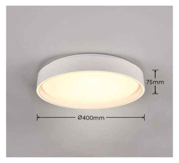 TRIO Reality R64391031 FELIS stropné svietidlo SMD LED D400mm 24W/2500lm 2700-6500K biela matná, stmievateľné, diaľkový ovládač