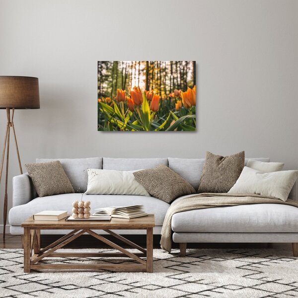 Sklenený obraz - oranžové tulipány (70x50 cm)