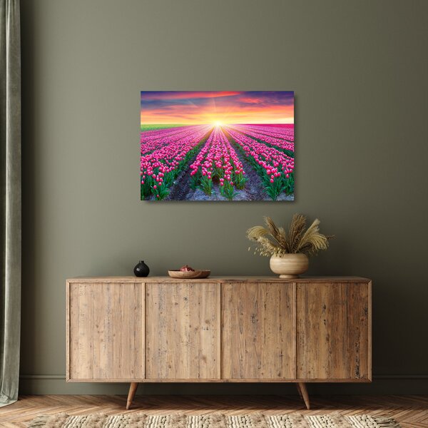 Sklenený obraz poľa tulipánov so slnkom (70x50 cm)