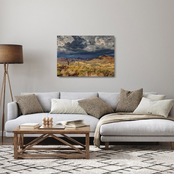 Sklenený obraz - kaktusy v prírode (70x50 cm)