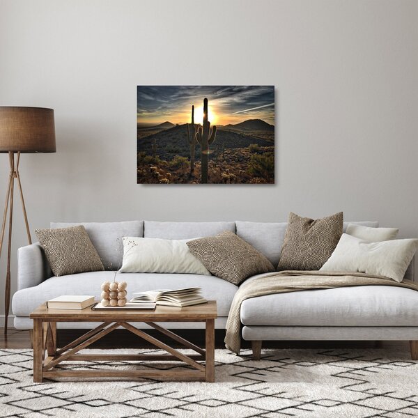 Sklenený obraz - kaktusy v slnku (70x50 cm)