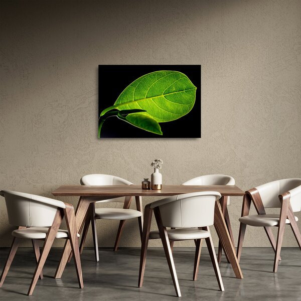Sklenený obraz - zelený list (70x50 cm)