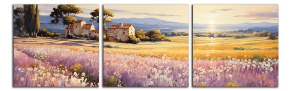 Obraz na stenu Západ slnka v Provence