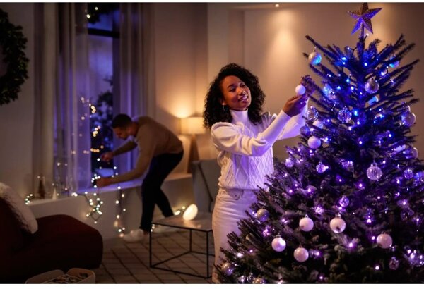 8720169246621 PHILIPS HUE White and Color Ambiance Festavia string lights - vianočná svetelná reťaz 250 LED 20m 2000-6500K+RGB IP44/IP54 čierna