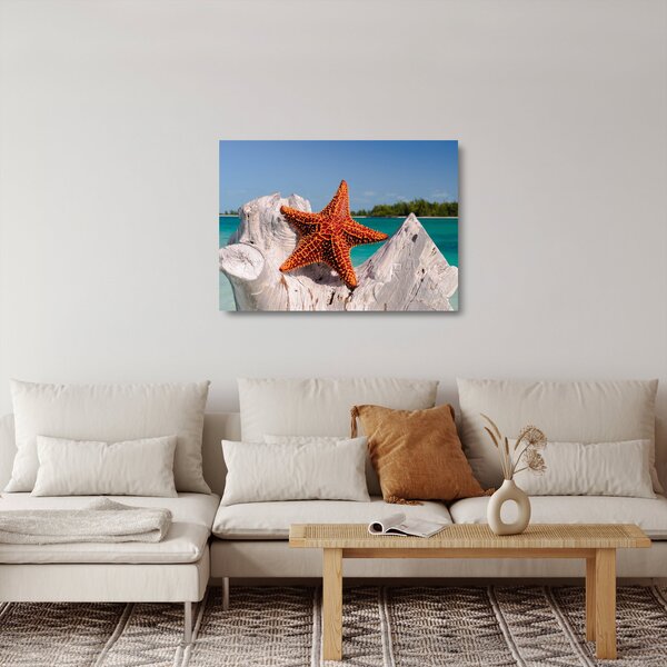 Sklenený obraz morskej hviezdice (70x50 cm)