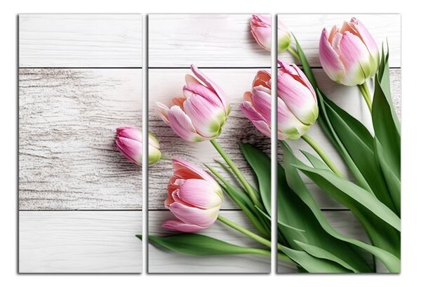 Obraz na stenu Ružové tulipány