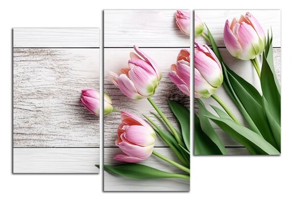 Obraz na stenu Ružové tulipány